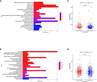 Activated interferon response from DNA damage in multiple myeloma cells contributes to the chemotherapeutic effects of anthracyclines